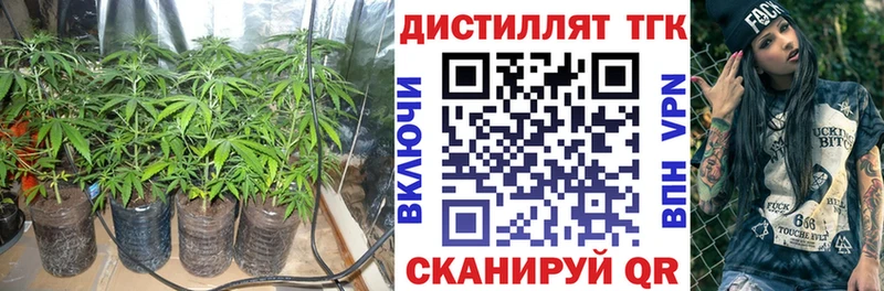 где купить наркоту  Мурино  MEGA ссылки  Дистиллят ТГК вейп с тгк 