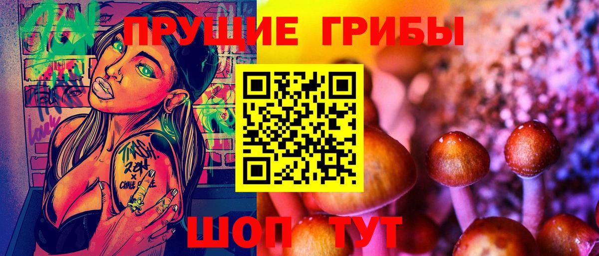 где найти   Мурино  Галлюциногенные грибы Cubensis 