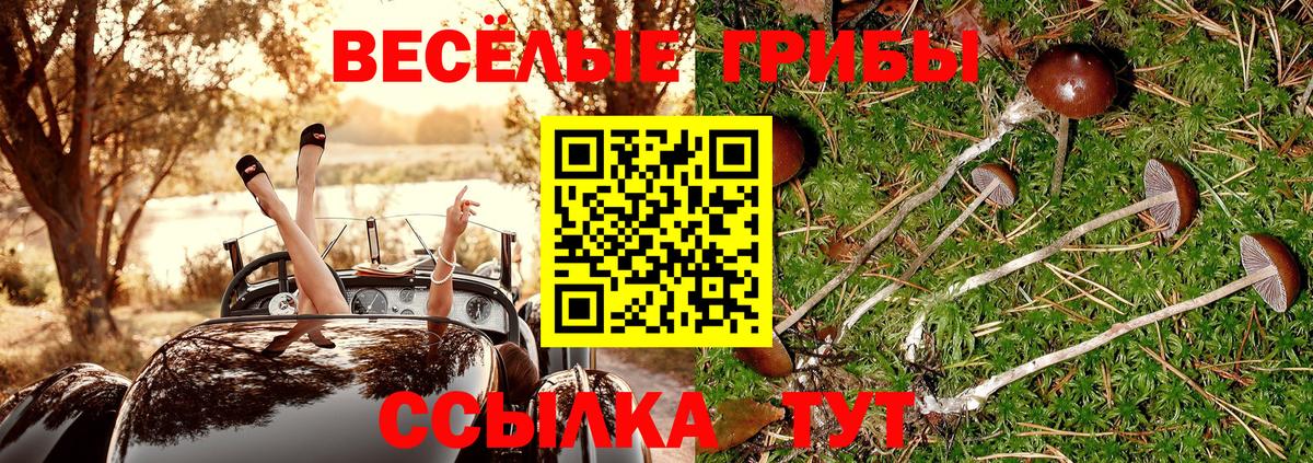 Псилоцибиновые грибы GOLDEN TEACHER Мурино